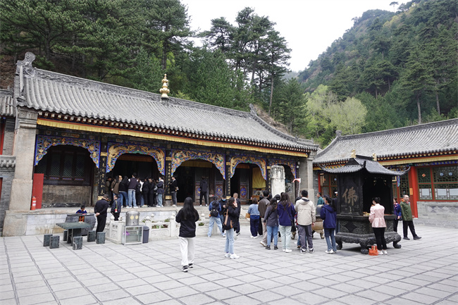 1715390874452601.jpg IMG_20240504_134026.jpg