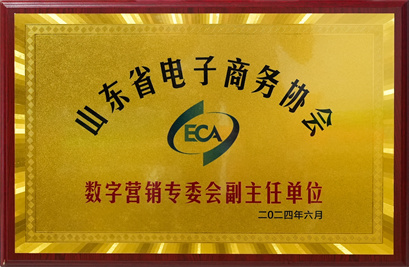 山東省電子商務(wù)協(xié)心數(shù)字營銷專委會副主任單位