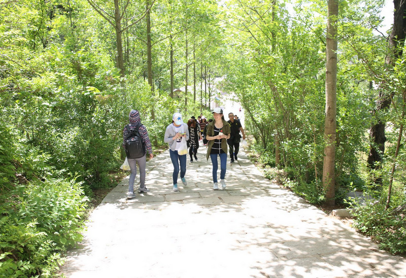 煙臺智聯(lián)網(wǎng)絡(luò)昆崳山春游