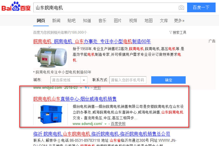 山東皖南電機案例智聯(lián)網(wǎng)絡公司