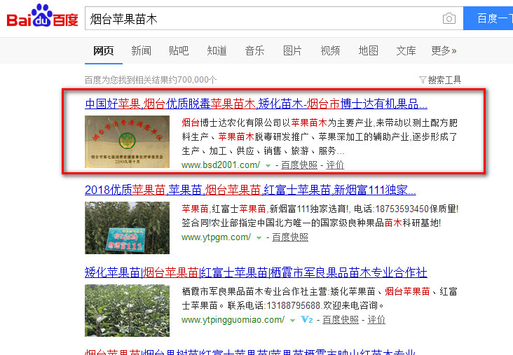 煙臺(tái)蘋(píng)果苗木